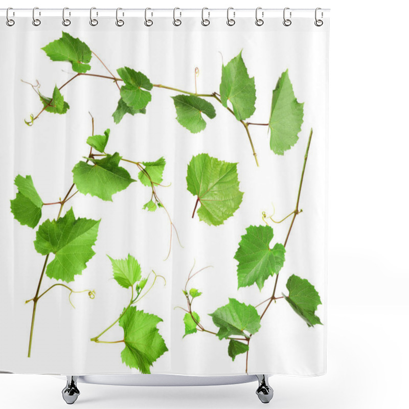 Personality  Set Of Grapevines With Green Leaves On White Background Shower Curtains