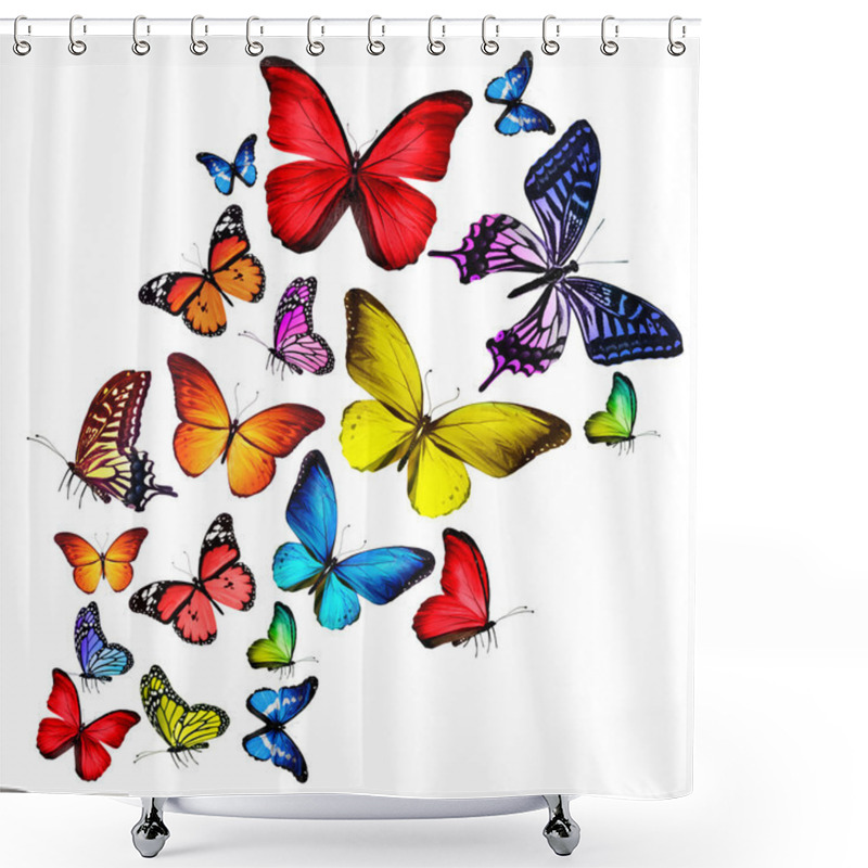 Personality  Many Different Butterflies, Isolated On White Background Shower Curtains