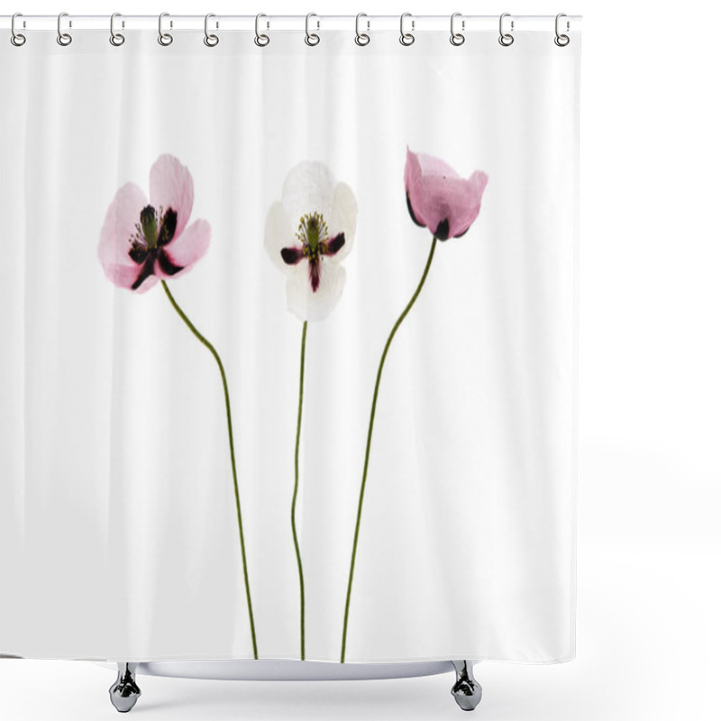 Personality  Summer Poppy Flowers  Shower Curtains