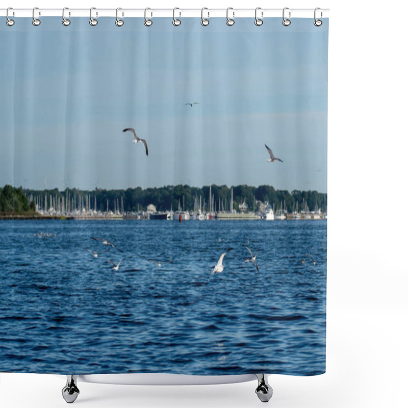 Personality  Seagulls Over Greenwich Bay Harbor Seaport In East Greenwich Rho Shower Curtains