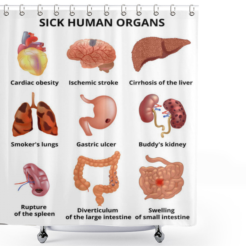 Personality  Realistic Sick Human Organs Set Anatomy With Text Shower Curtains