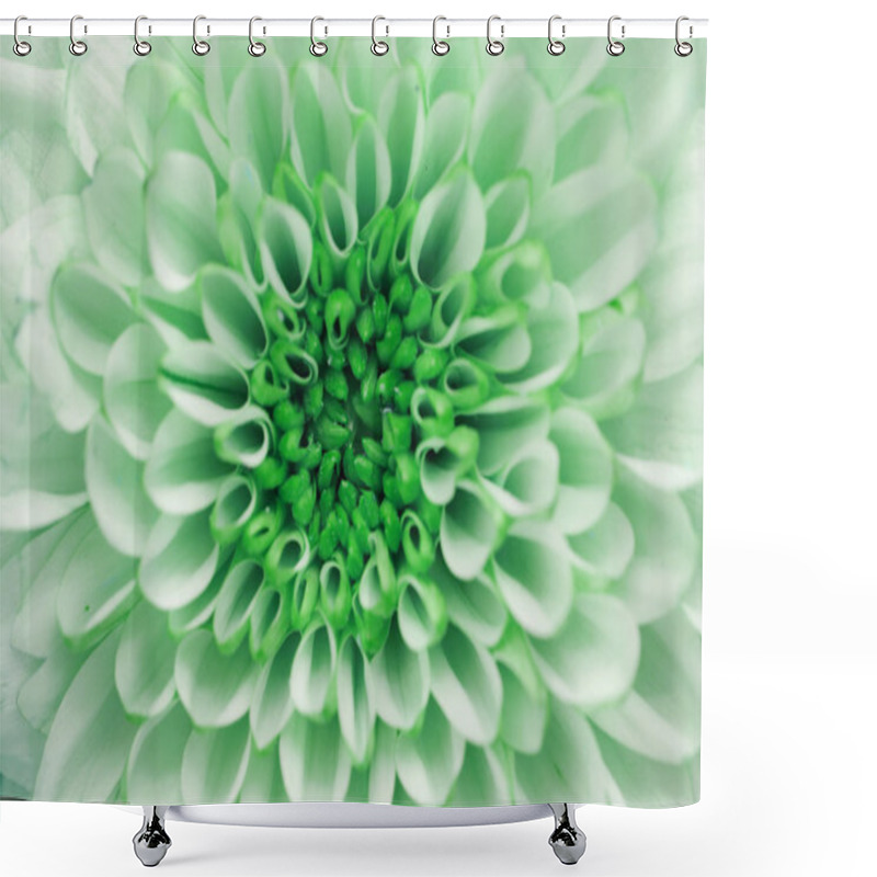 Personality  Background Of  Chrysanthemum Flower Shower Curtains