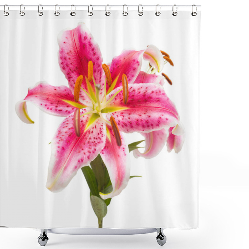 Personality  Beautiful Bouquet Of Pink Lily Flowers Shower Curtains