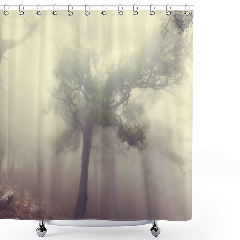 Personality  Magic Misty Forest Shower Curtains