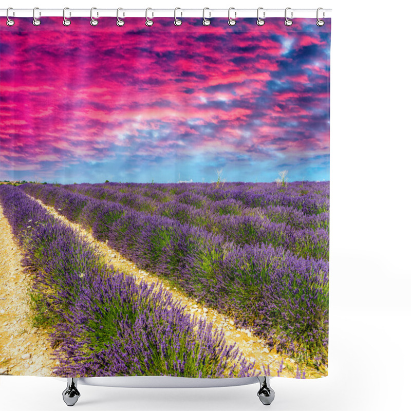 Personality  Lavender Flower Blooming Scented Fields In Endless Rows. Valenso Shower Curtains