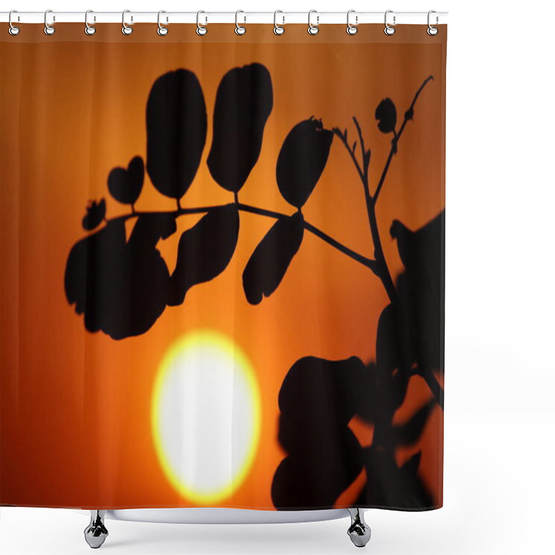 Personality  Silhouette Of Carob (Ceratonia Siliqua) Leaves At Sunset Shower Curtains