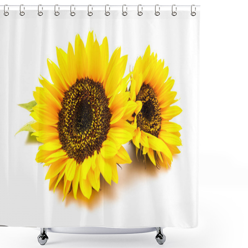 Personality  Sunflowers On The White Background Shower Curtains