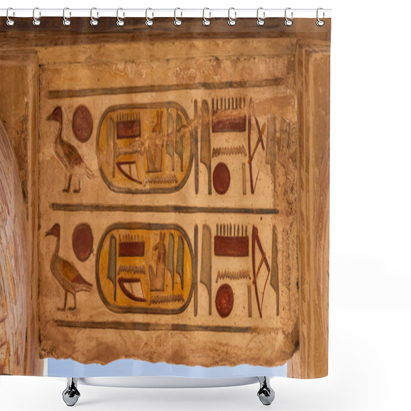 Personality  Hieroglyphs Adorn The Walls Of An Ancient Egyptian Karnak Temple, Illustrating Various Daily Life Activities And Symbols. Shower Curtains