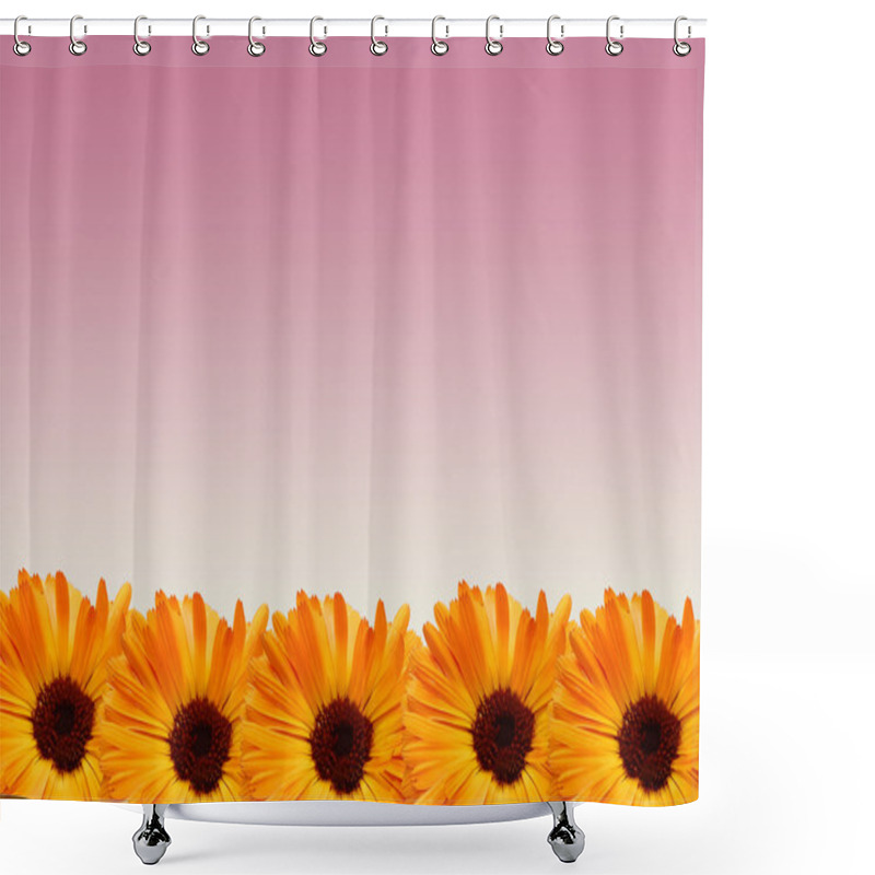 Personality  Framework From Flowers Shower Curtains