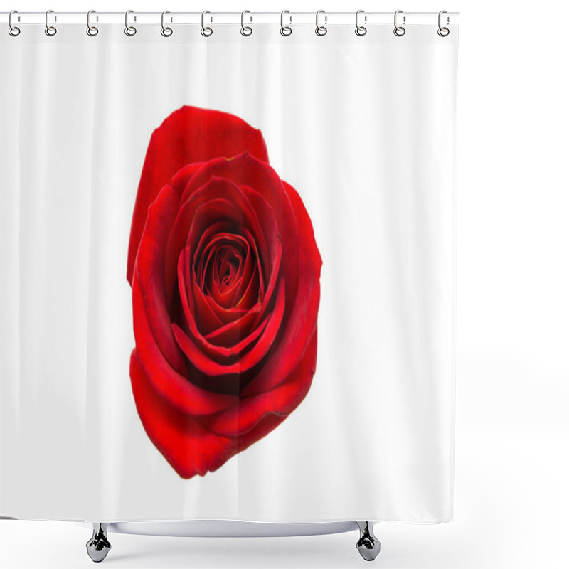 Personality   Red Rose Isolated  Shower Curtains