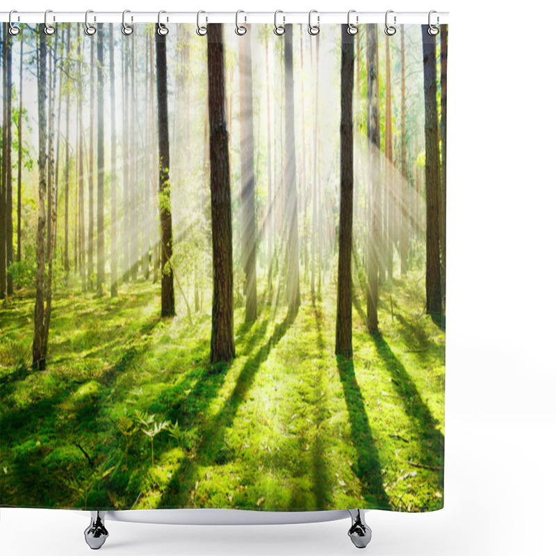 Personality  Morning Fog. Misty And Foggy Forest Shower Curtains