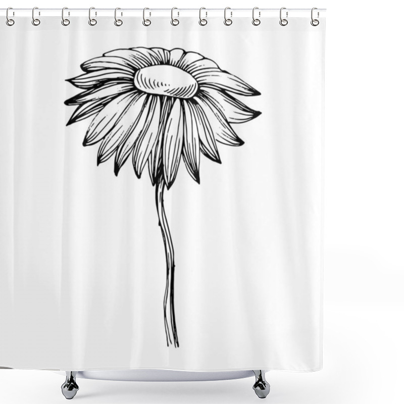 Personality  Chrysanthemum By Hand Drawing. Floral Tattoo Highly Detailed In Line Art Style. Flower Tattoo Concept. Black And White Clip Art Isolated On White Background. Antique Vintage Engraving Illustration. Shower Curtains