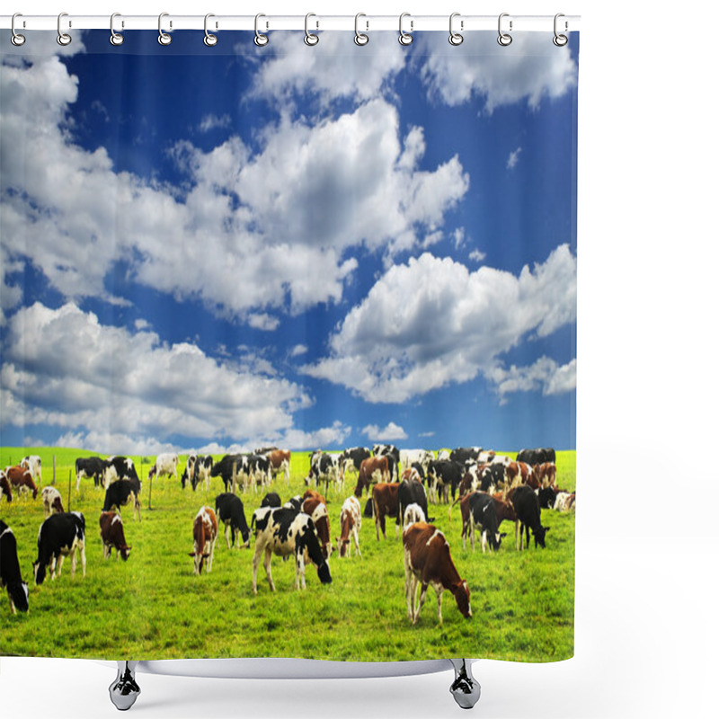 Personality  Cows In Pasture Shower Curtains