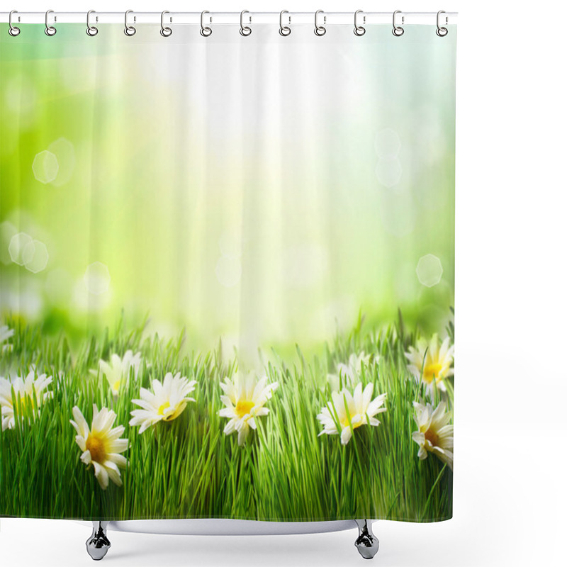 Personality  Spring Meadow With Daisies. Grass And Flowers Border Shower Curtains