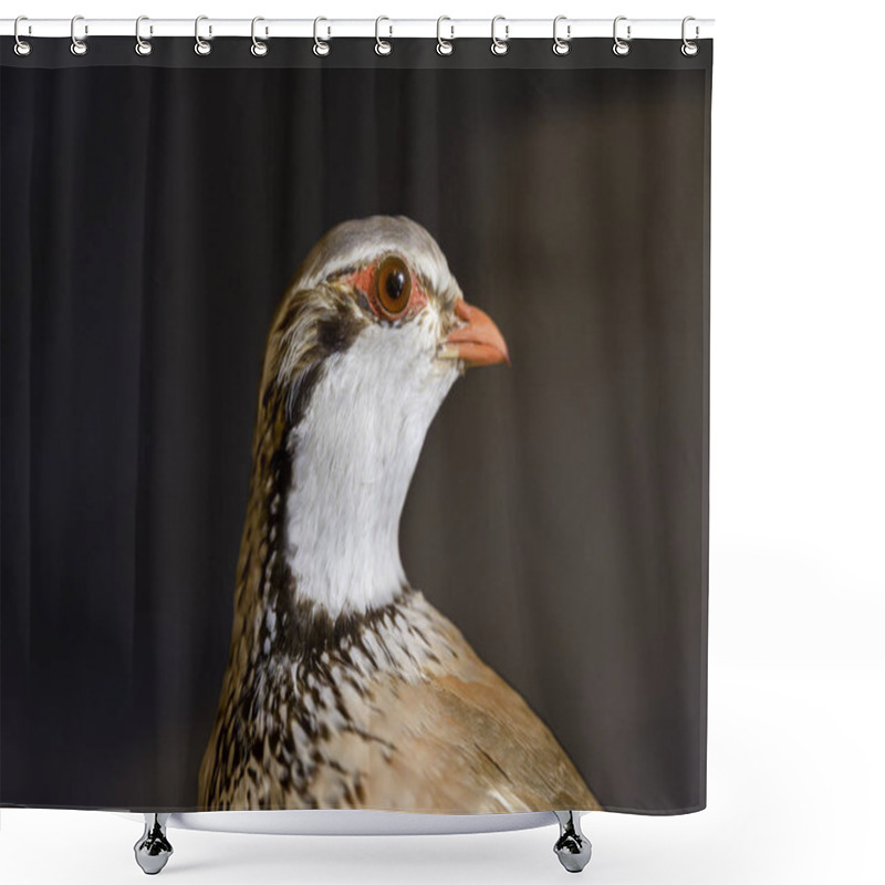 Personality  Close-Up Of A Taxidermy Partridge With Red Eye And Detailed Feathers In Studio Lighting Shower Curtains