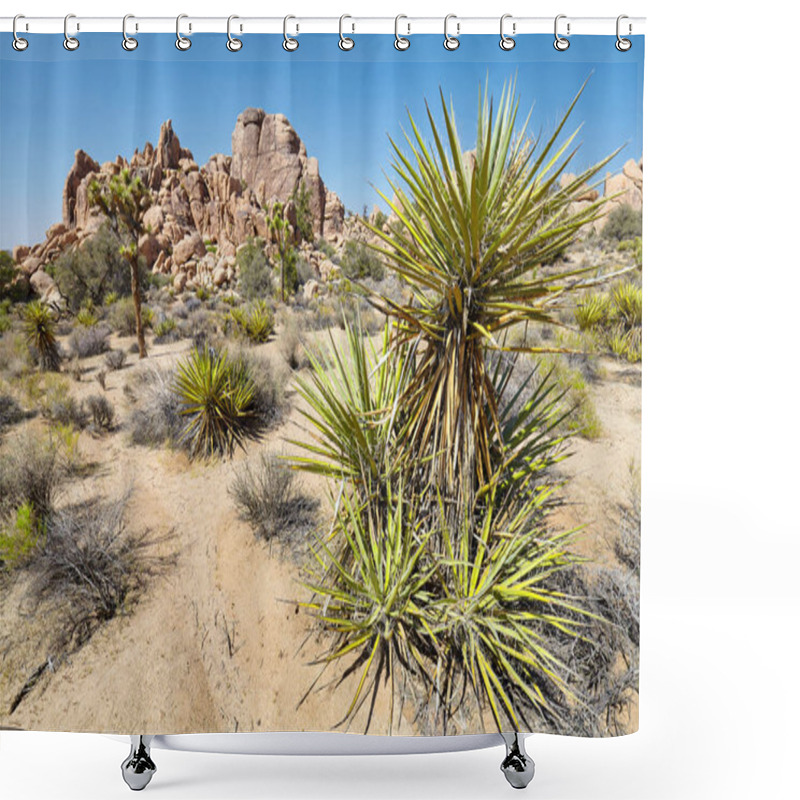 Personality  Wilderness Of The Joshua Tree National Park, USA. Shower Curtains