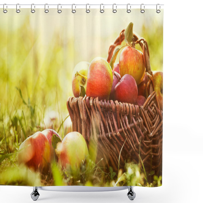 Personality  Organic Apples In Summer Grass Shower Curtains