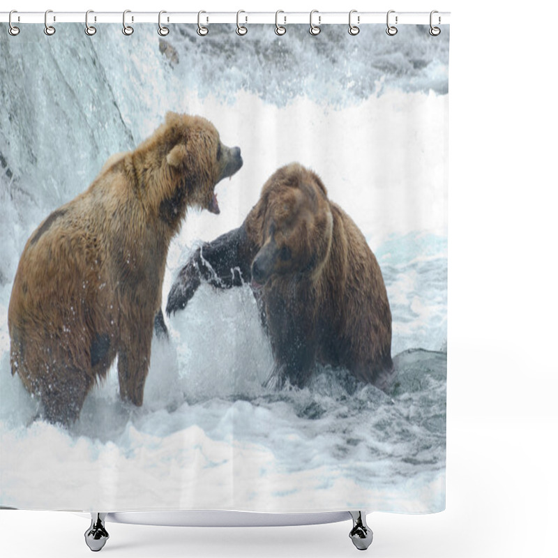 Personality  Alaskan Brown Bears Fighting Shower Curtains