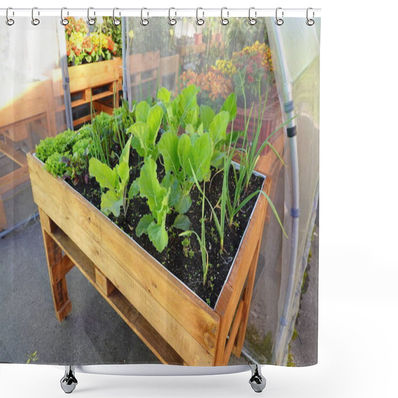 Personality  Terrace Growing Table Made Of Wooden Pallets. Growing At Home In Containers Shower Curtains