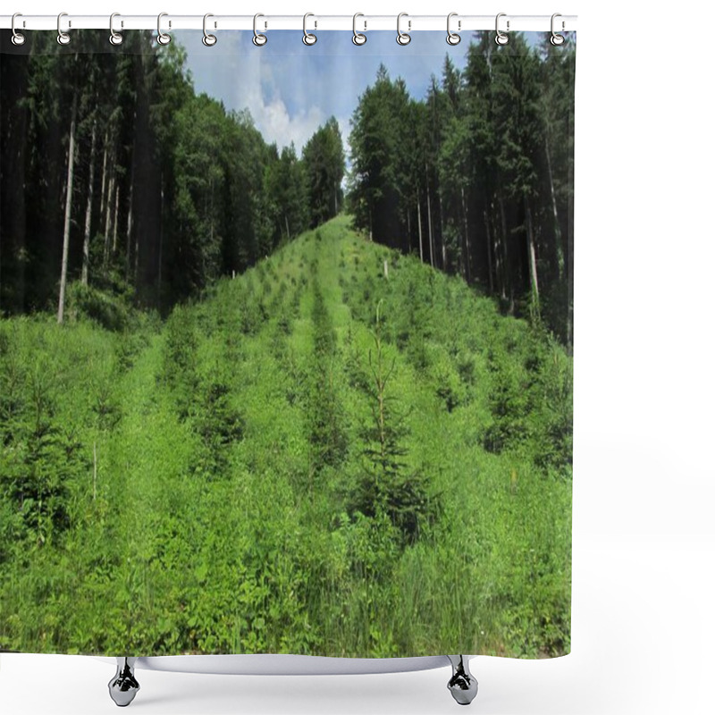 Personality  Reforestation Or Reafforestation In A Forest, Tree Planting And Growing Shower Curtains