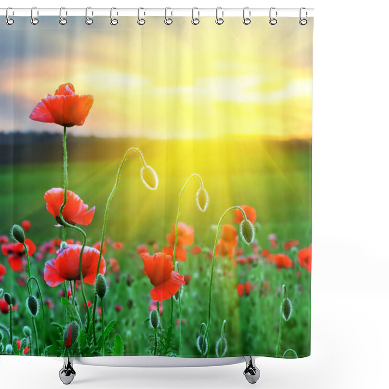 Personality  Poppy Field Shower Curtains