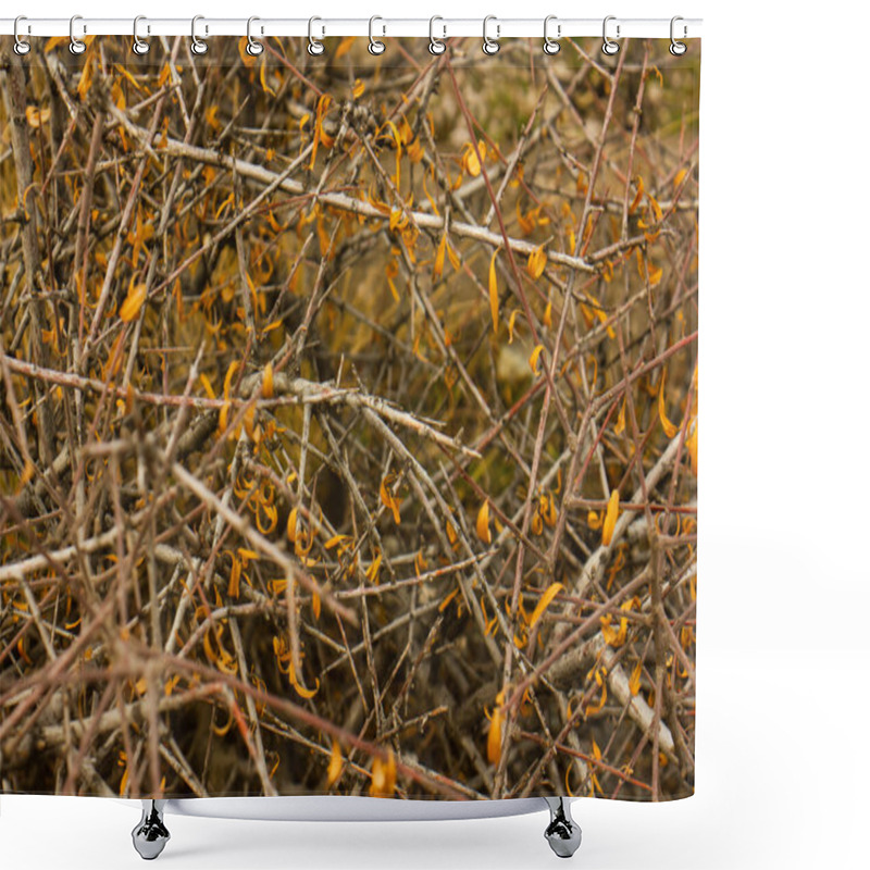 Personality  Yellow Leaves On The Spring Branches Shower Curtains