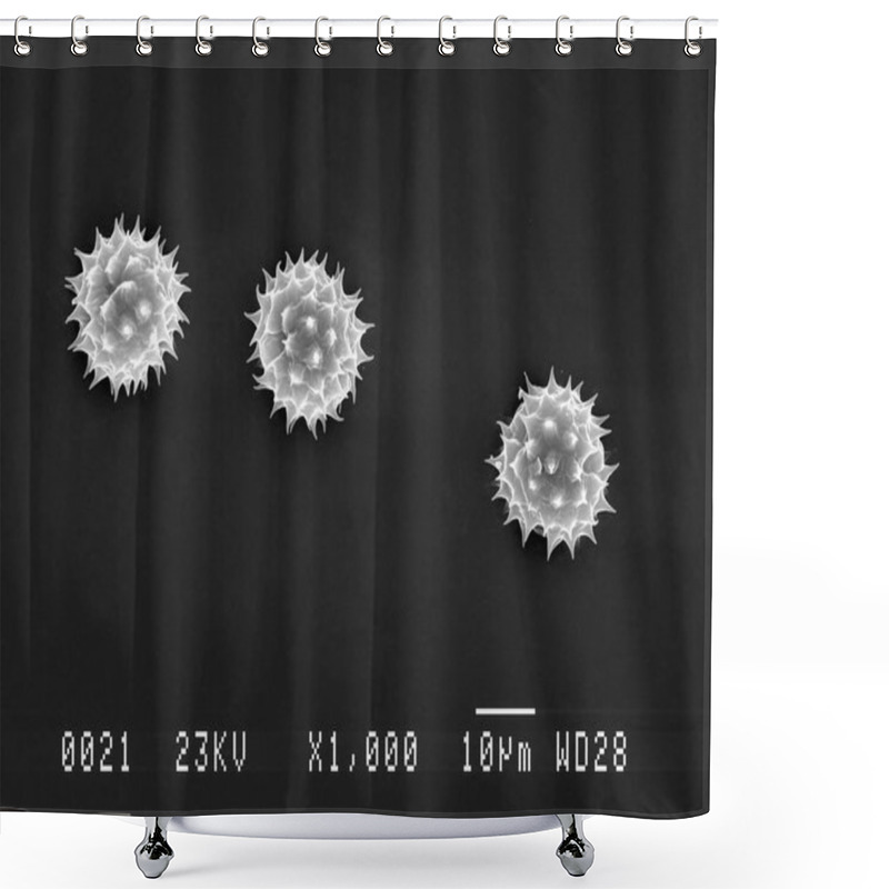 Personality  Daisy Pollen Under Electron Microscope Shower Curtains