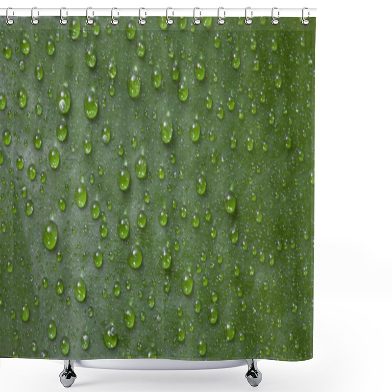 Personality  Water Drops On A Natural Green Tropical Leaf Background. Can Be Used For Your Creativity. Shower Curtains