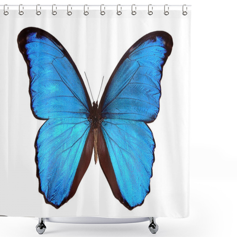 Personality  Exotic Insects (butterflies, Beetles, Spiders, Scorpions) Isolated On White Background. Beautiful Exotic Blue Butterfly Isolated On A White Background. 2020 Trend Color Shower Curtains