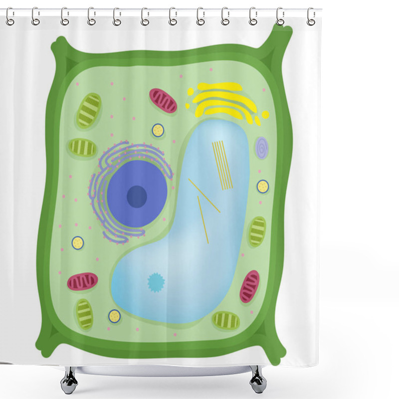 Personality  The Plant Cell Are Eukaryotic Shower Curtains