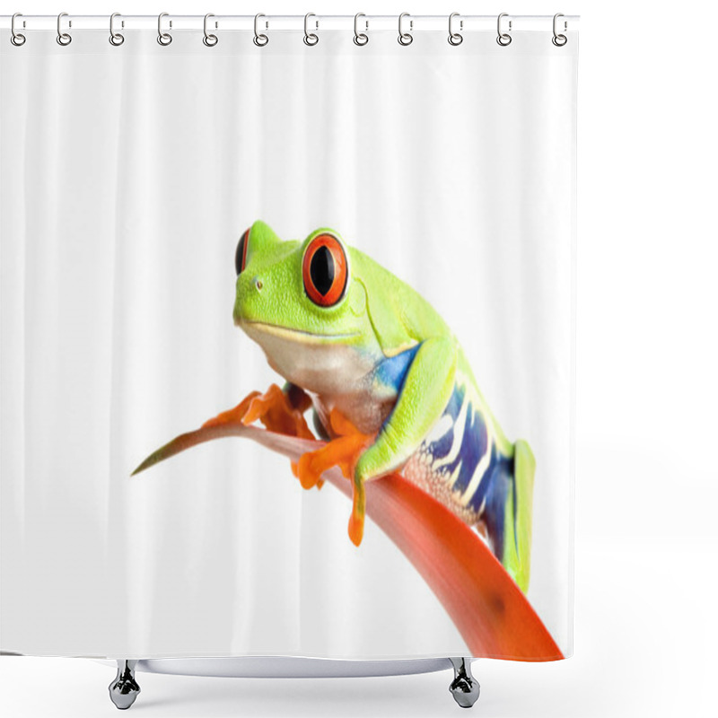 Personality  Frog On Guzmania Shower Curtains