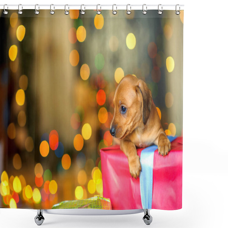 Personality  2018 Year Of The Dog Shower Curtains