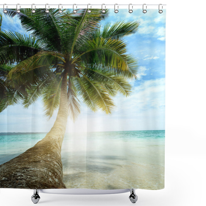 Personality  Coconut Palm Shower Curtains