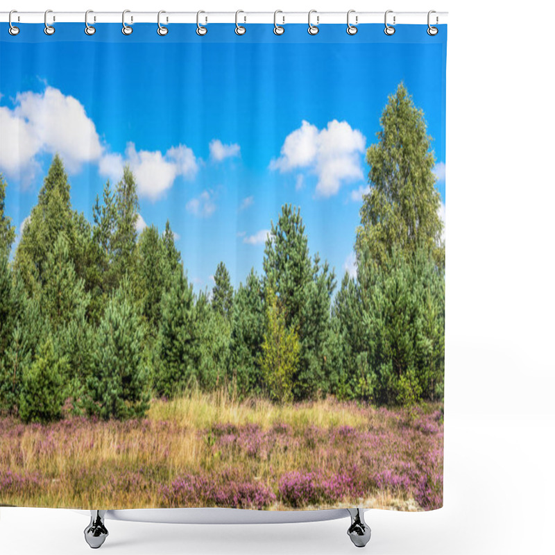 Personality  Pine Forest And Heather Flowers Field, Autumn Landscape With Blue Sky In Sunny Day Shower Curtains