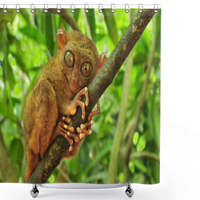 Personality  Tarsier Shower Curtains