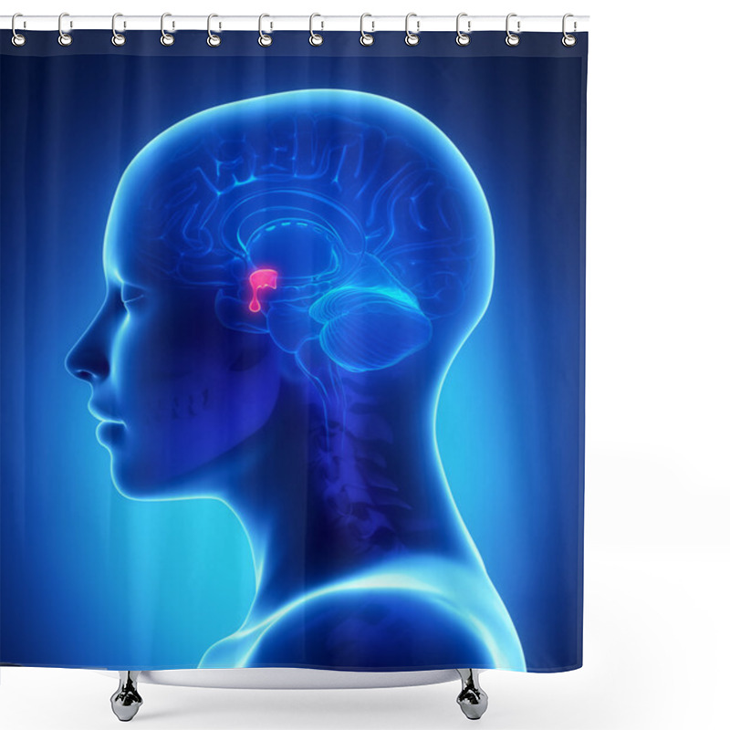 Personality  Pituitary Gland - Female Brain Anatomy Lateral View Shower Curtains