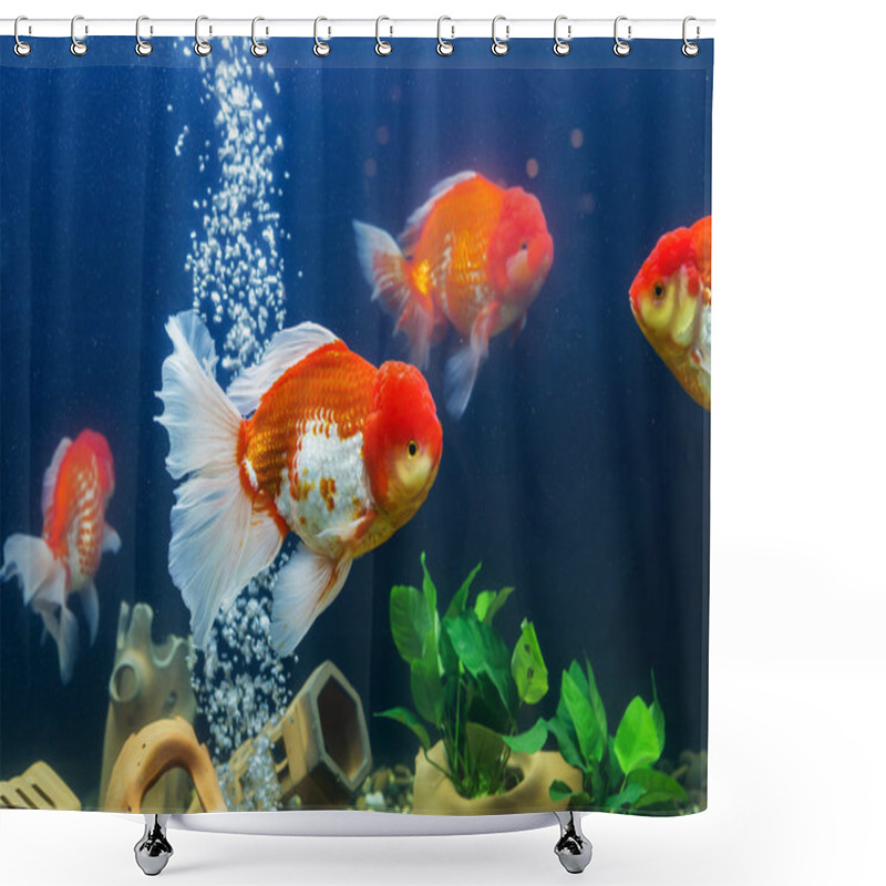 Personality  Goldfish In Aquarium With Green Plants Shower Curtains