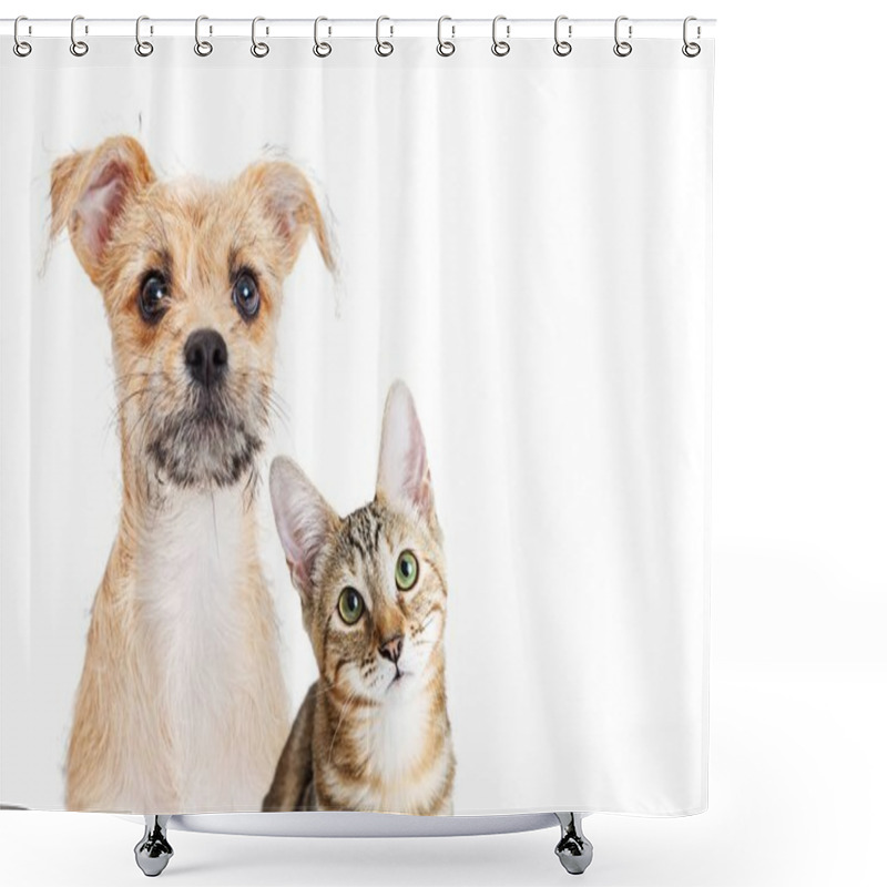 Personality  Puppy And Kitten Together With Cute Expression  Shower Curtains