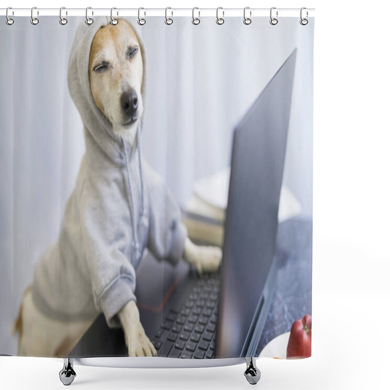 Personality  Relaxed Smiling Dog Is Working On Project Online. Using Computer Laptop. Pet Wearing Gray Comfortable Hoodie. Freelancer Work From Home Concept. Closed Eyes. Take It Easy.  Satisfied With Success Shower Curtains