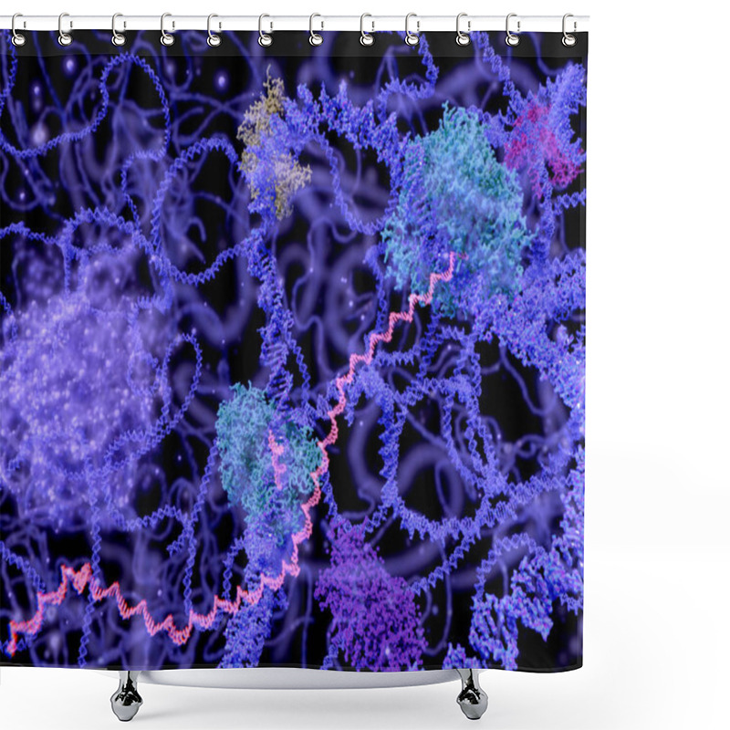 Personality  View Of The Cell Nucleus In The Interphase (DNA, MRNA, Nucleolus And Several Enzymes). Illustration Shower Curtains