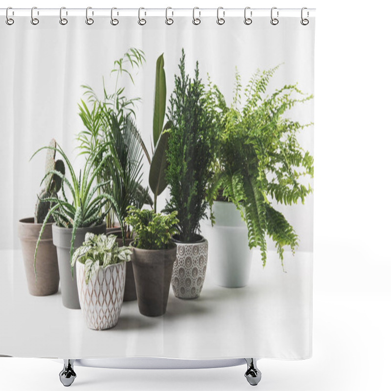 Personality  Various Beautiful Green Plants In Pots On White  Shower Curtains