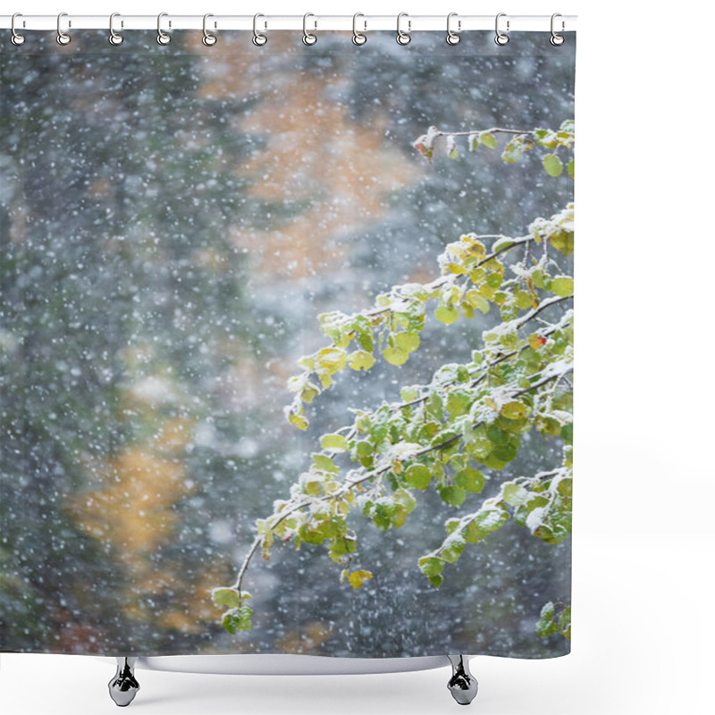 Personality  Autumn Leaves Of Aspen Tree Covered With Snow Shower Curtains