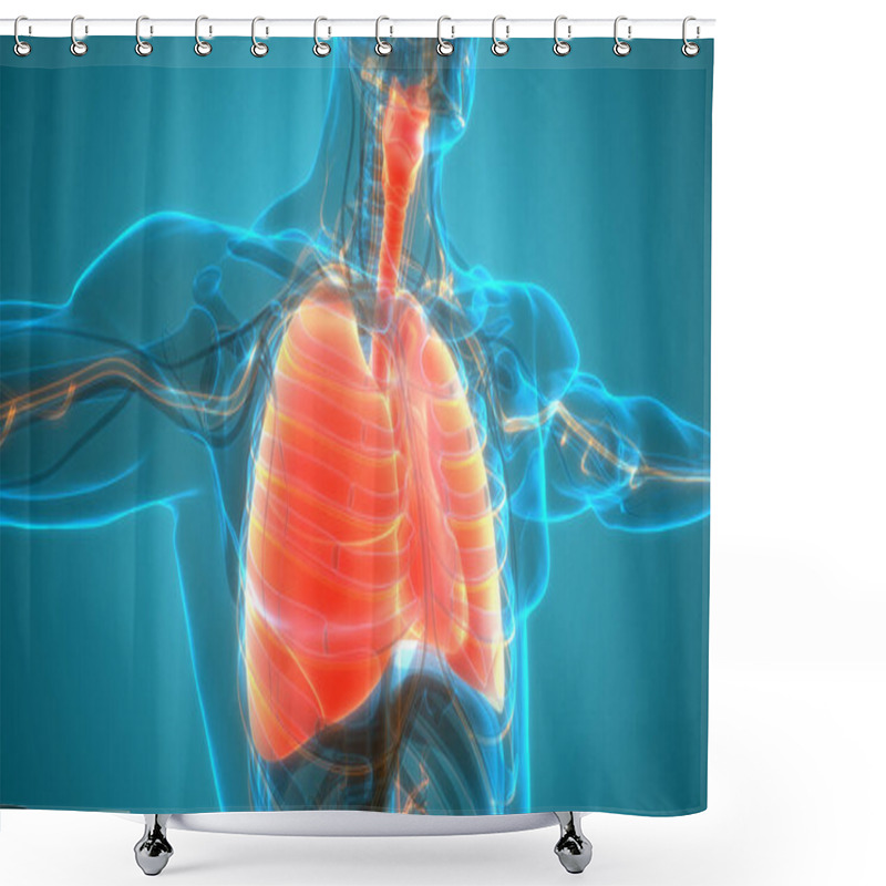 Personality  Human Body Organs (Lungs) 3D Shower Curtains