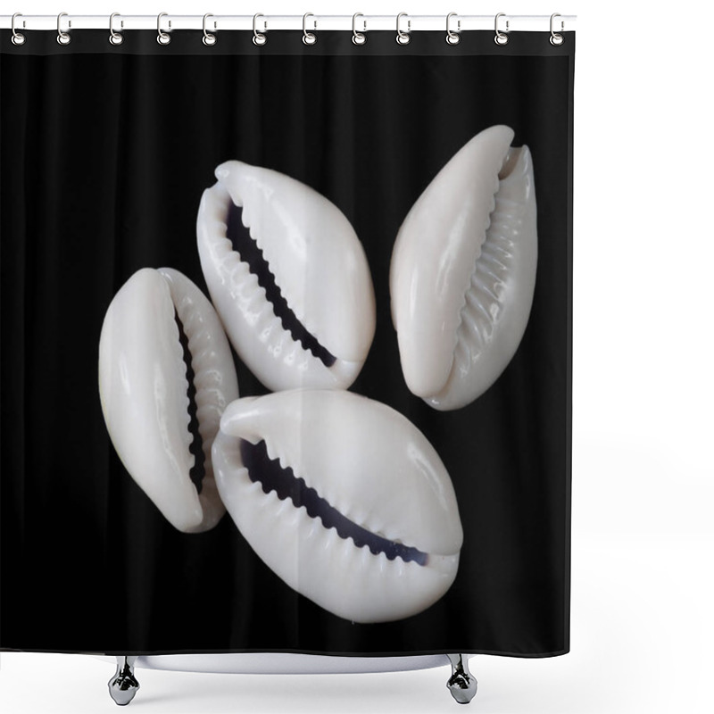 Personality  Cowrie Shells On Black Background Shower Curtains