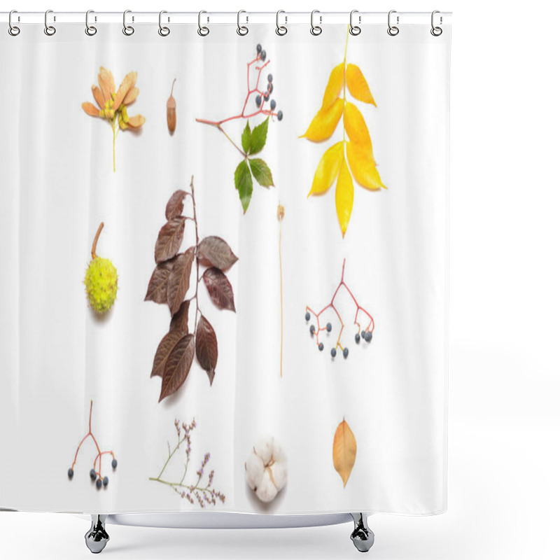 Personality  Beautiful Autumn Composition On White Background Shower Curtains