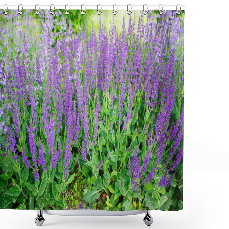 Personality  Blue Salvia (salvia Farinacea) Flowers Blooming Shower Curtains