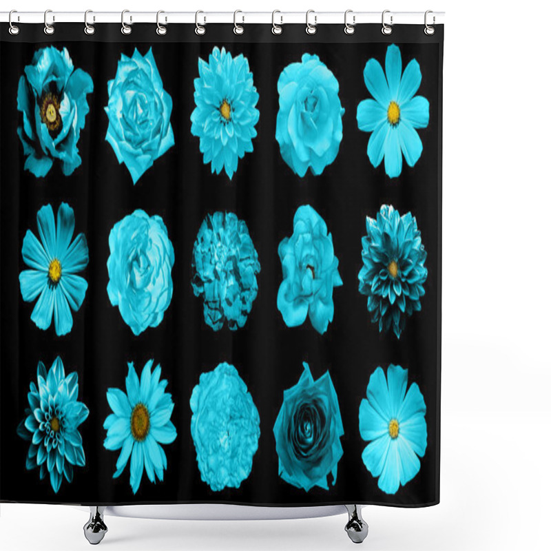 Personality  Mix Collage Of Natural And Surreal Cyan Flowers 15 In 1: Dahlias, Primulas, Perennial Aster, Daisy Flower, Roses, Peony Isolated On Black Shower Curtains