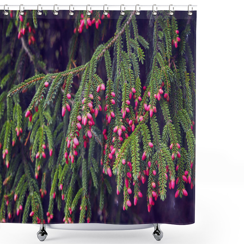 Personality  Capturing The Essence Of Spring, A Pine Branch Adorned With Small Pink Cones Stands Out Against A Backdrop Of Lush Greenery, Showcasing The Subtle Beauty Of Nature's Renewal Shower Curtains