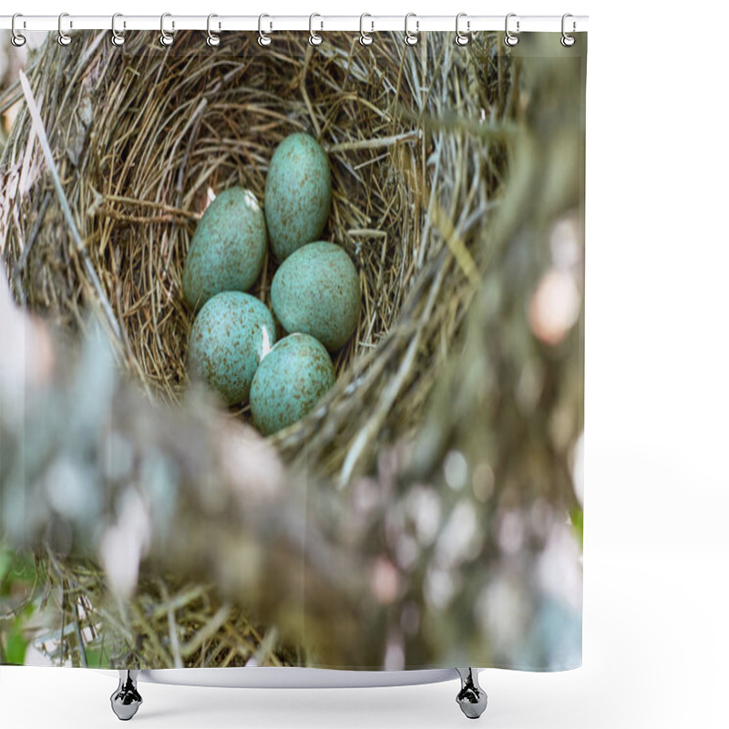 Personality  A Nest Of Birds On A Tree In The Wild. Shower Curtains