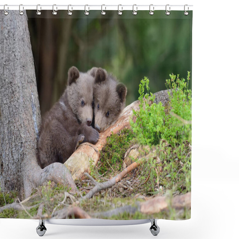 Personality  Brown Bear Cub Shower Curtains